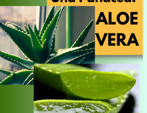 Una panacea: ALOE VERA!