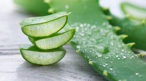 aloe vera