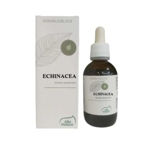 echinacea